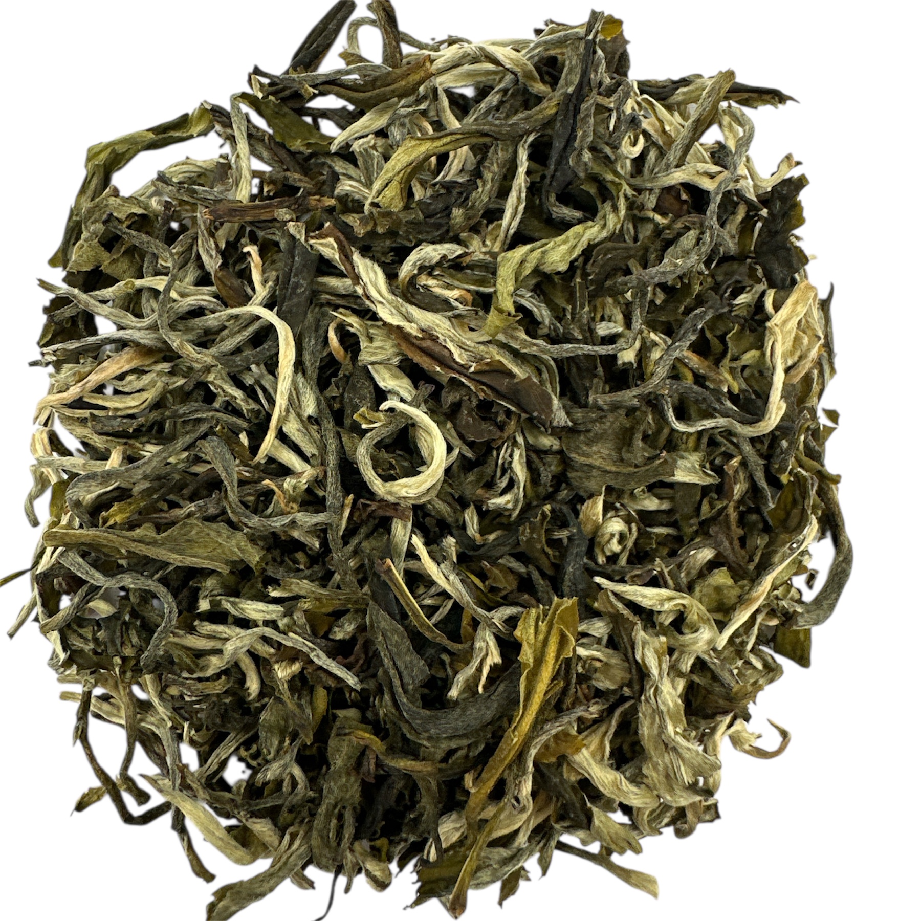 China Green Monkey 